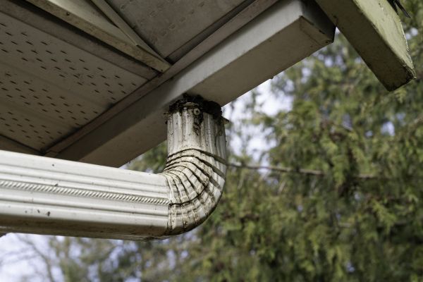 Roof Drain Replacement in Panama City